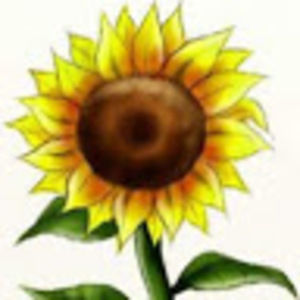 Meet your Posher, Lulu